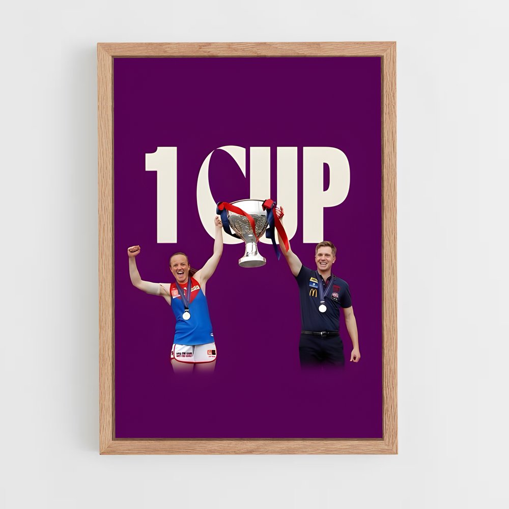 Poster Champions Unis – affiche Football australien (vue 4)